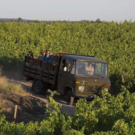 Affittacamere Casas Do Coro 4*