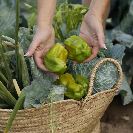 Affittacamere Casas Do Coro Marialva