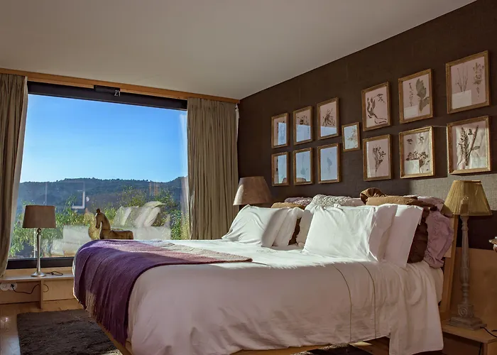 كاساس دو كورو بيت ضيافة