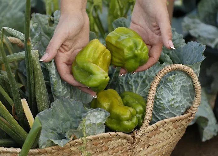 بيت ضيافة كاساس دو كورو ماريالفا