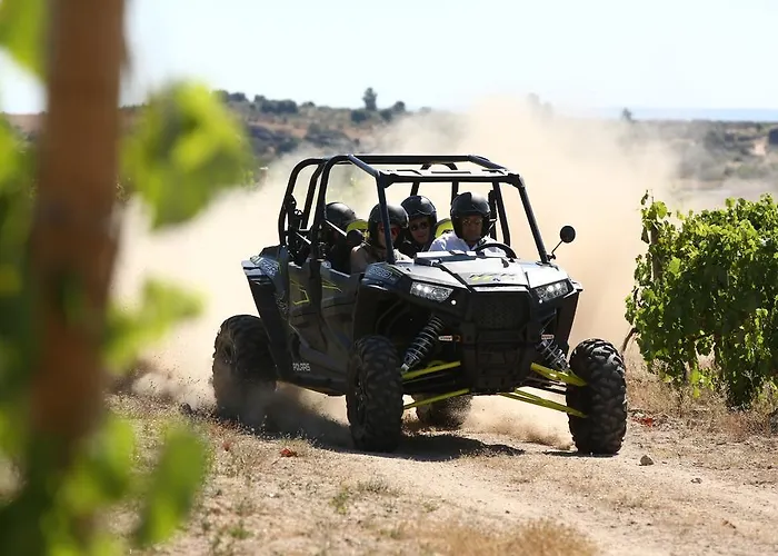 بيت ضيافة كاساس دو كورو